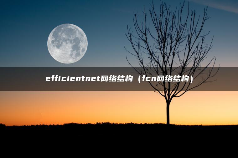 efficientnet网络结构（fcn网络结构）