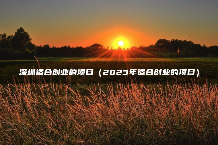 深圳适合创业的项目（2023年适合创业的项目）
