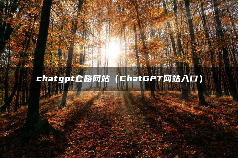 chatgpt套路网站（ChatGPT网站入口）