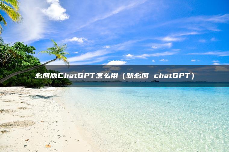 必应版ChatGPT怎么用（新必应 chatGPT）