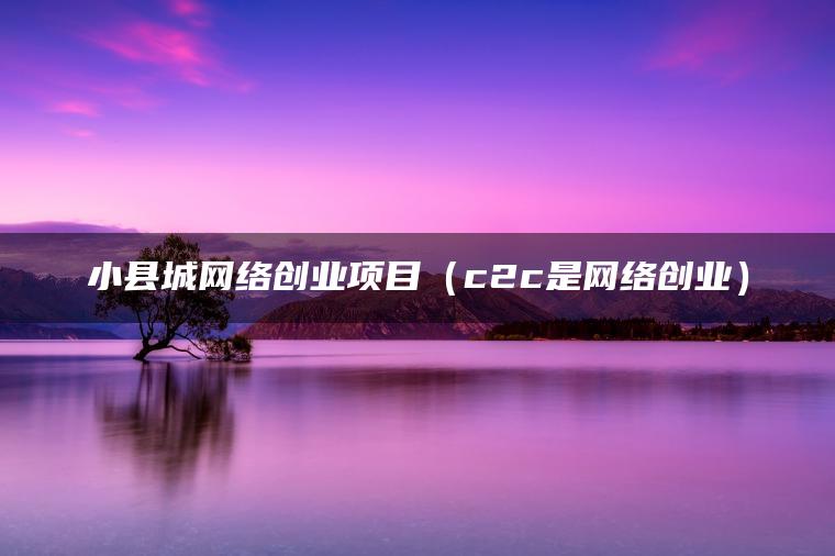 小县城网络创业项目（c2c是网络创业）