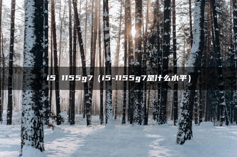 i5 1155g7（i5-1155g7是什么水平）